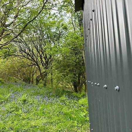 Cornwall Woodland Shepherd'S Hut - Dennis Hut Bodmin Dış mekan fotoğraf