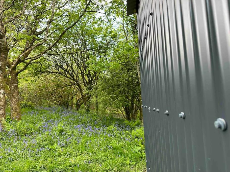 Cornwall Woodland Shepherd'S Hut - Dennis Hut Bodmin Dış mekan fotoğraf