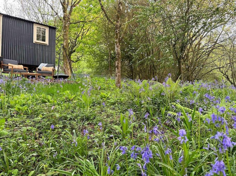 Cornwall Woodland Shepherd'S Hut - Dennis Hut Bodmin Dış mekan fotoğraf