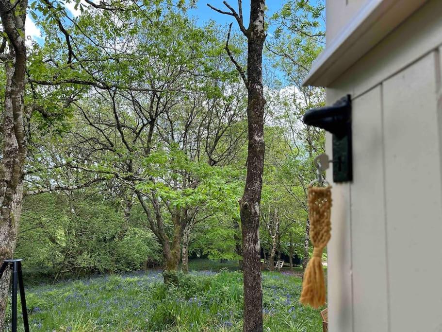 Cornwall Woodland Shepherd'S Hut - Dennis Hut Bodmin Dış mekan fotoğraf