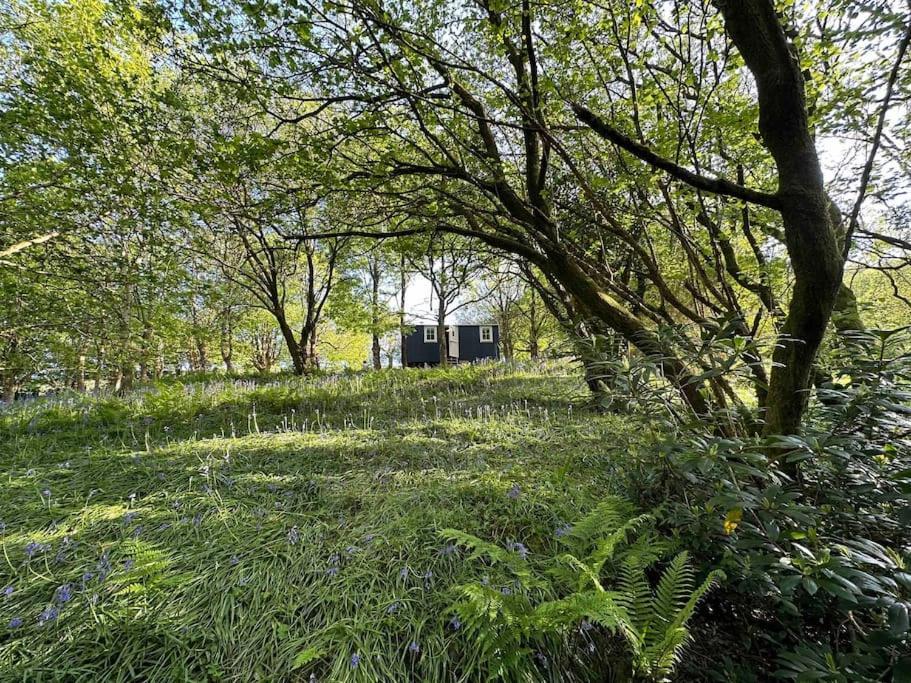 Cornwall Woodland Shepherd'S Hut - Dennis Hut Bodmin Dış mekan fotoğraf